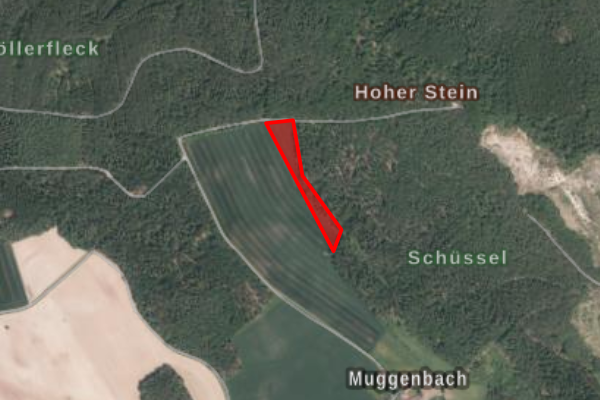 Muggenbach 6000 m²